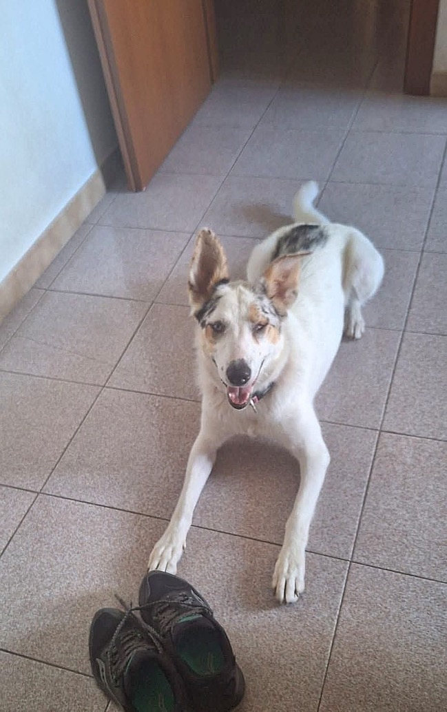 Foto di Home