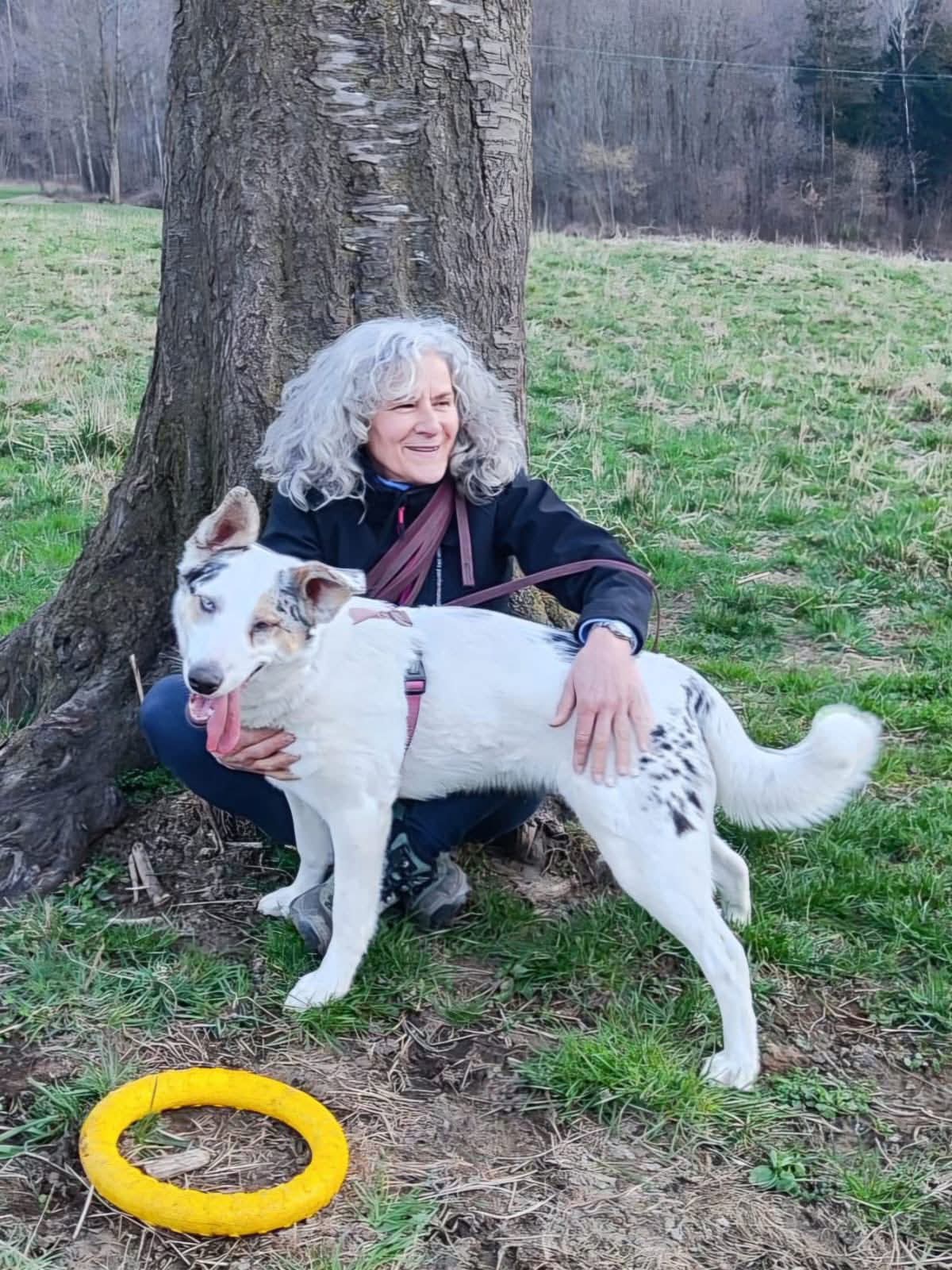 Foto per la storia Storie dal Rifugio