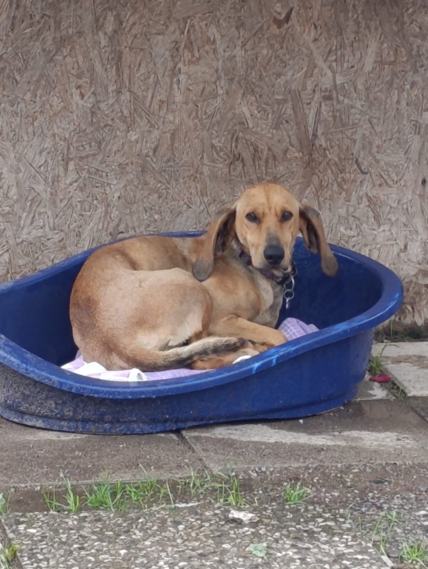 Foto di Home
