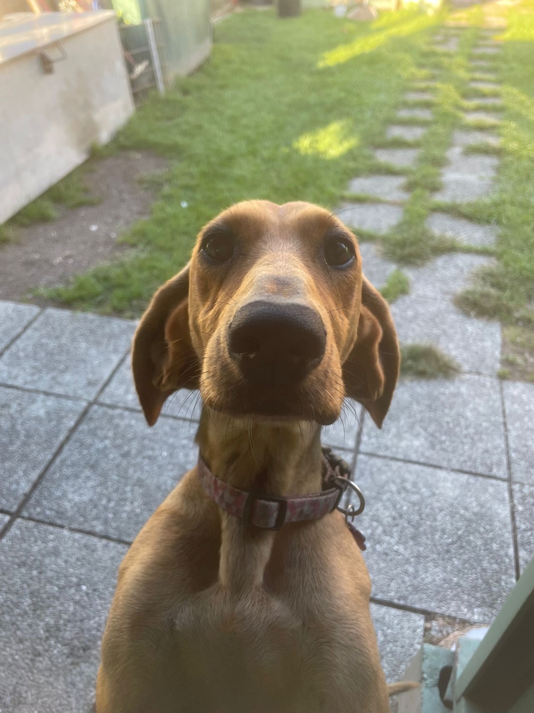 Foto di Bella