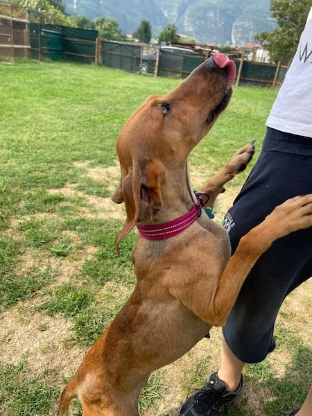 Foto di Bella