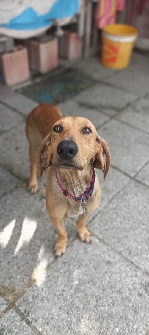 Foto di Bella