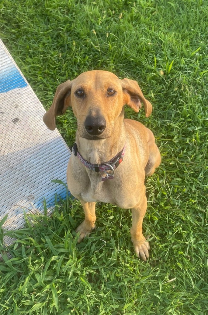 Foto di Bella