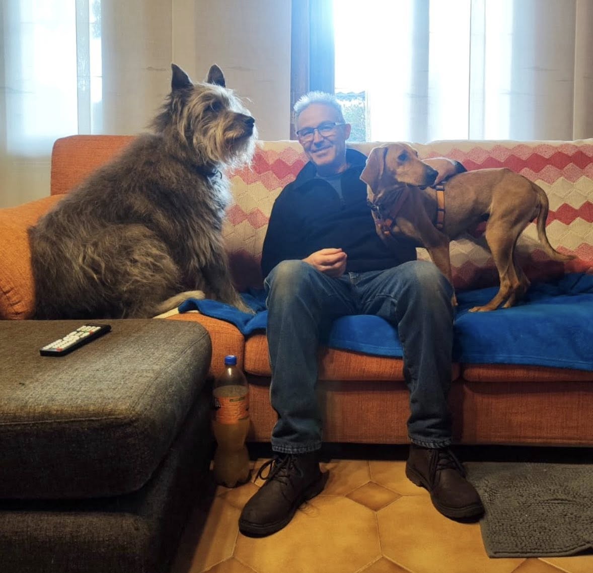 Foto di Bella è stata adottata!