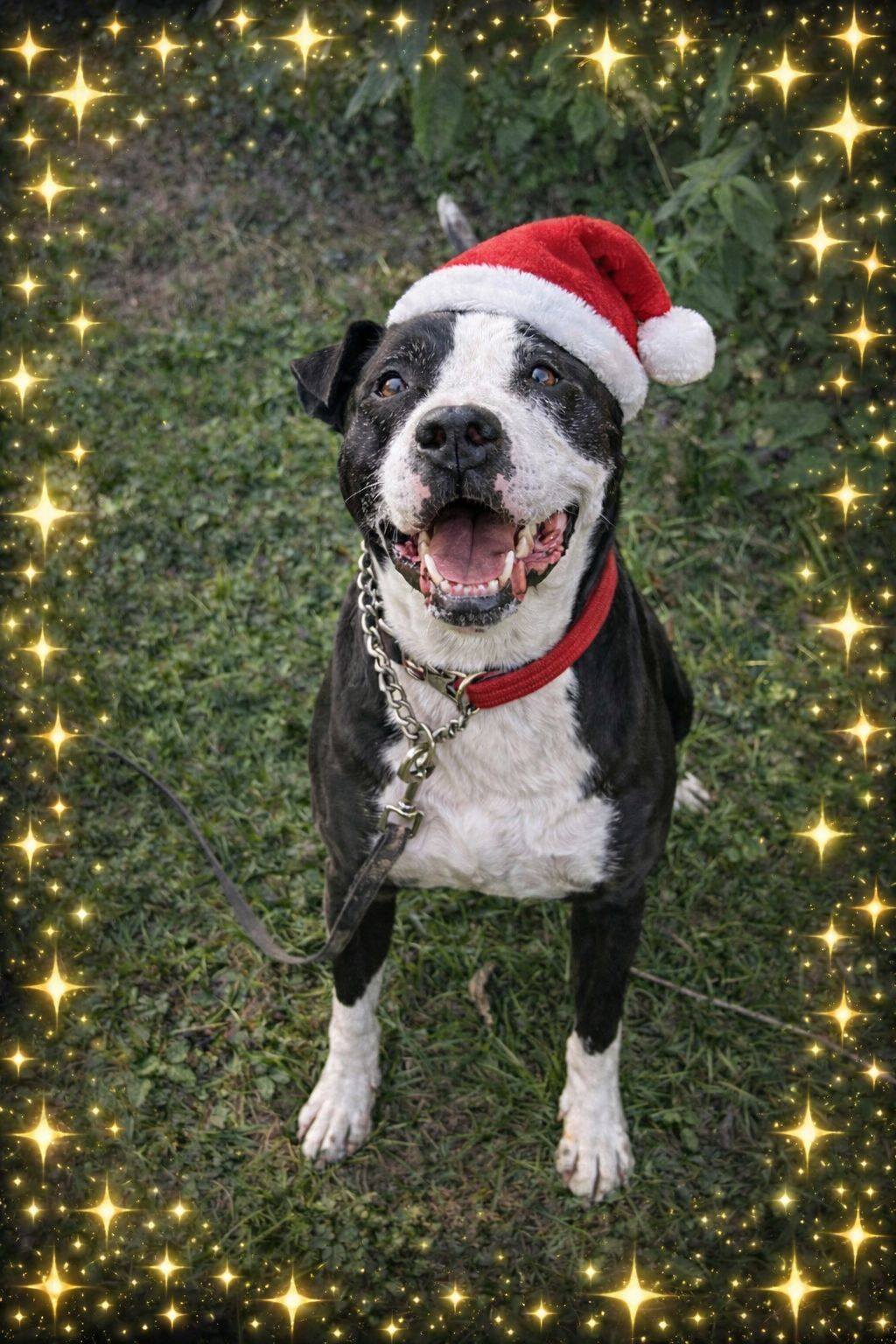 Foto di Tanti Auguri!