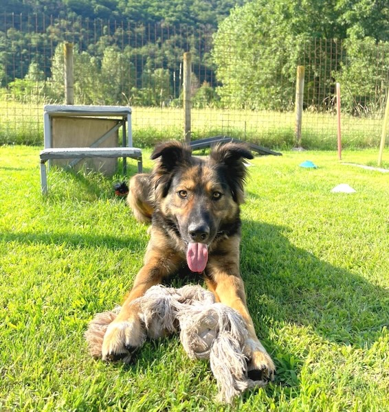 Foto di Home