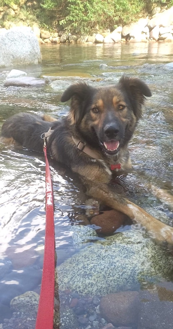 Foto di Cooper