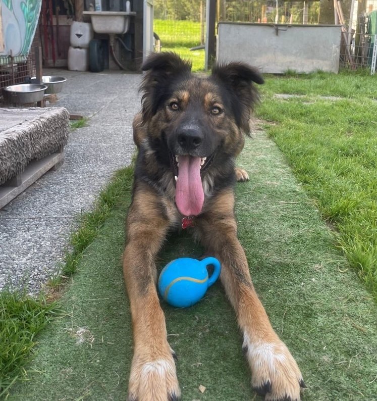 Foto di Cooper
