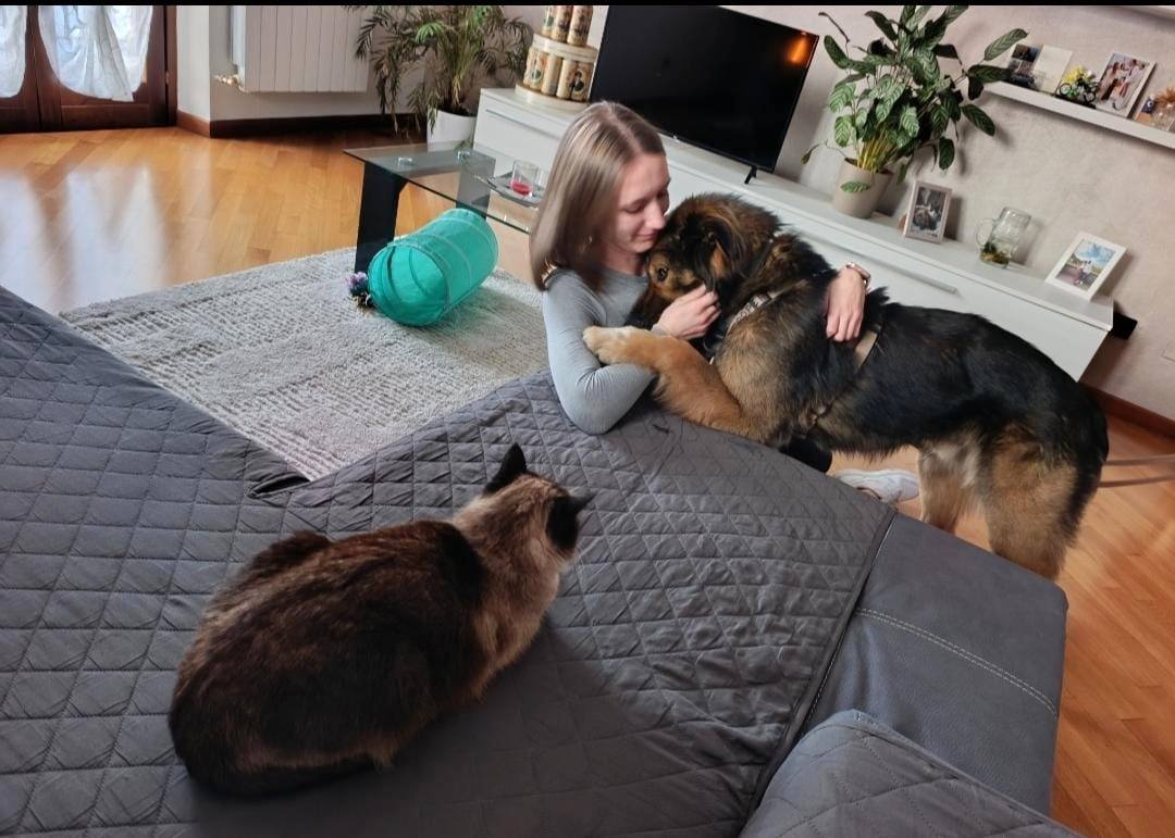 Foto di Cooper è stato adottato!