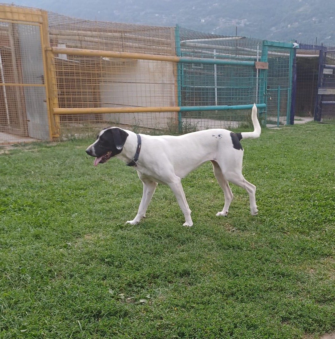 Foto di Frida