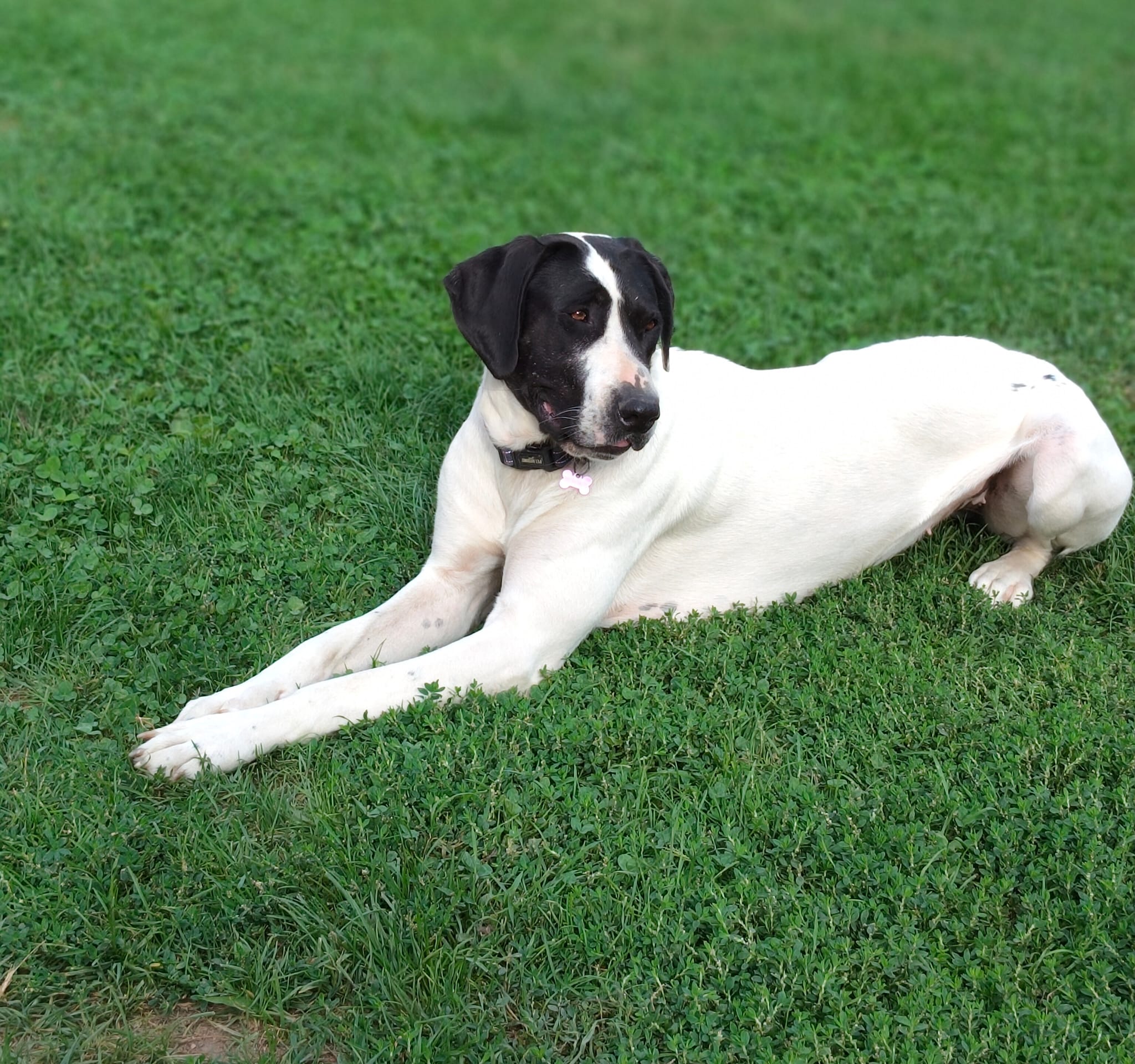 Foto di Frida