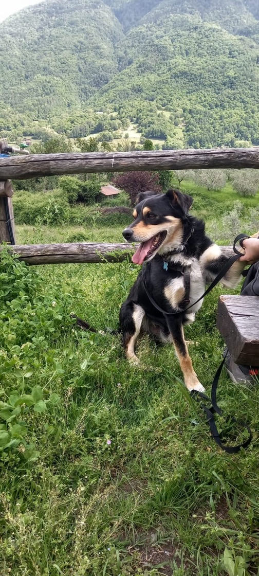 Foto di Jo