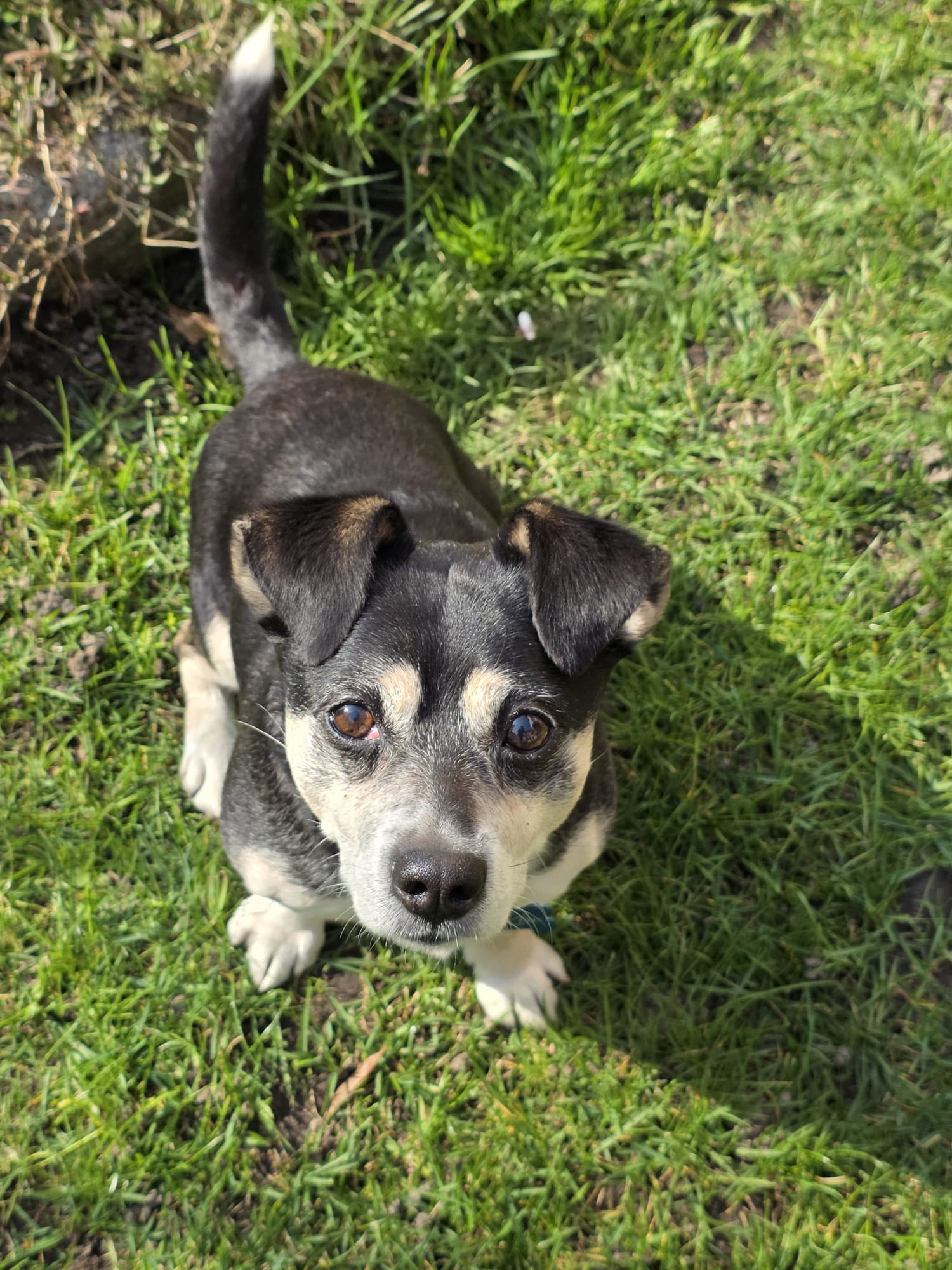 Foto per la storia Storie dal Rifugio