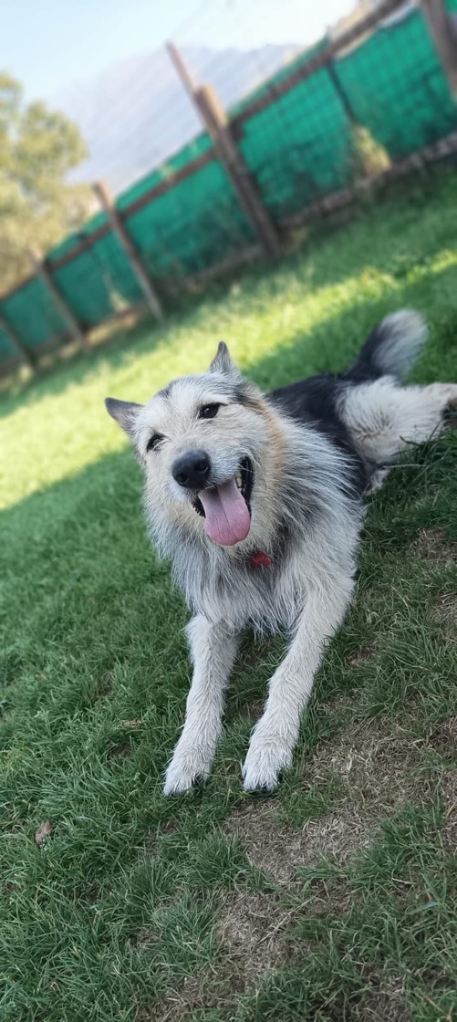 Foto di Oscar