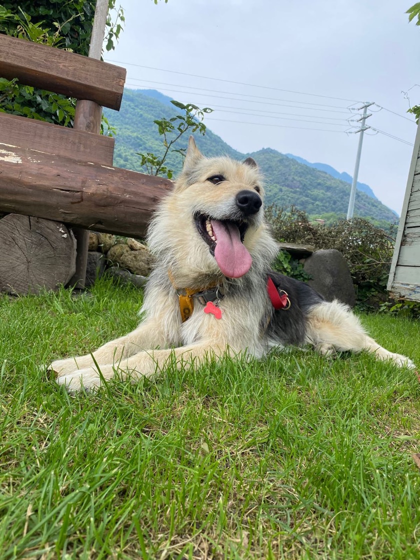 Foto di Oscar
