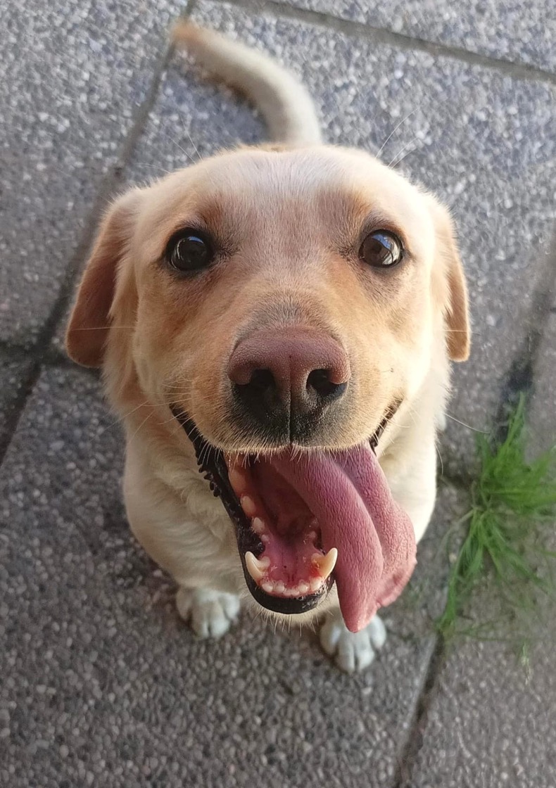 Foto di Paco
