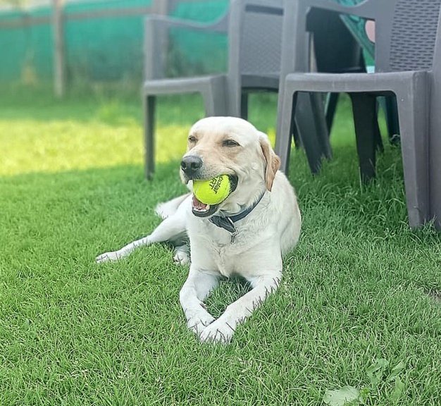 Foto di Paco
