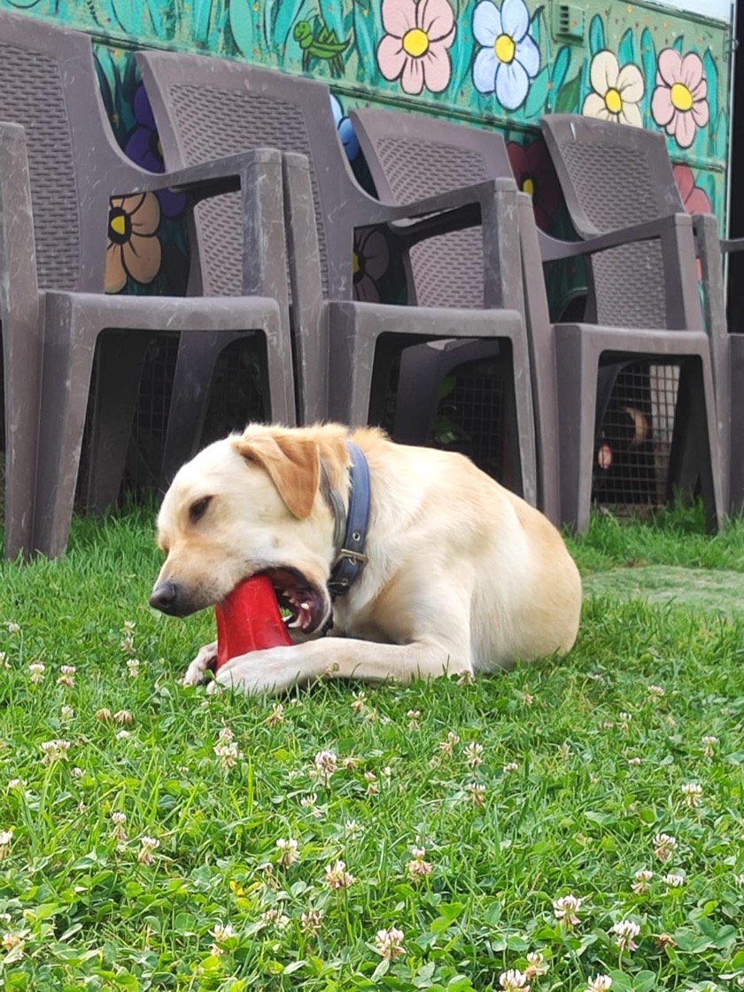 Foto di Paco